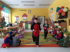 większy obrazek nr 15