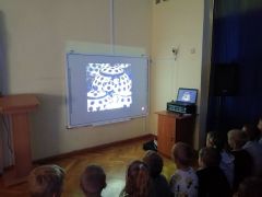 większy obrazek nr 15