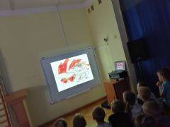 większy obrazek nr 18