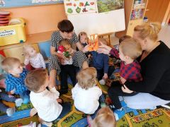 większy obrazek nr 27