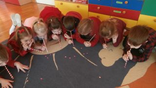 większy obrazek nr 8